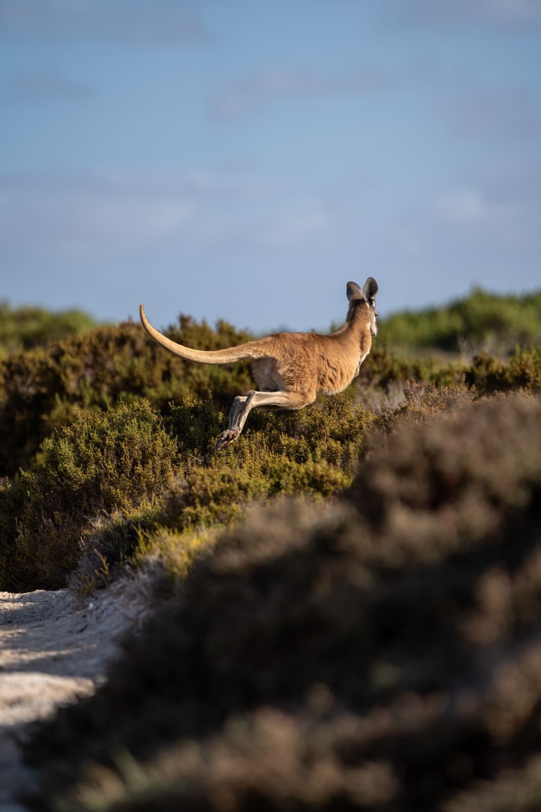 Unterwegs in Australien