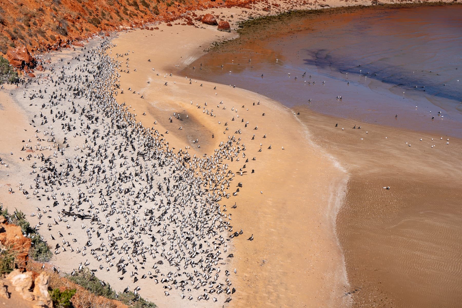 Unterwegs in Australien