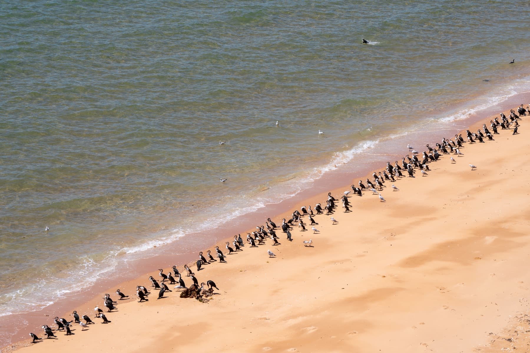 Unterwegs in Australien