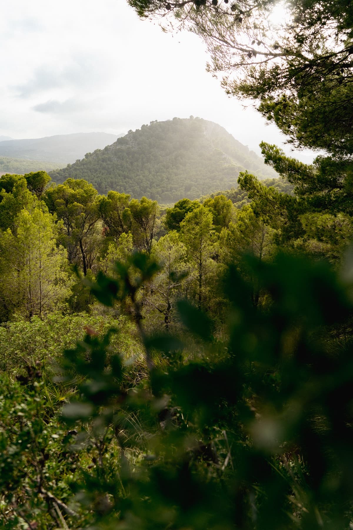 Wanderung auf Mallorca